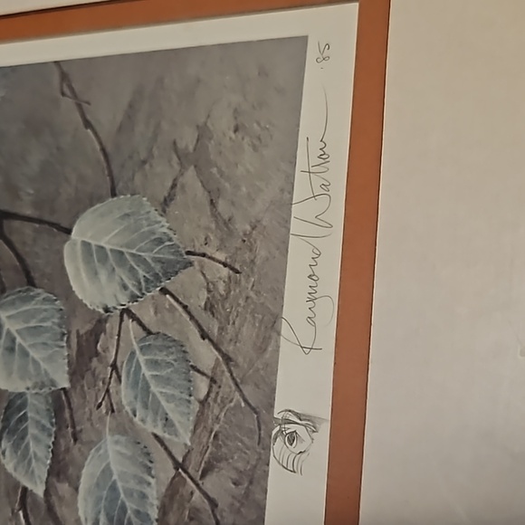 Vintage, Signed, Raymond Watson -Tawny Owl, framed print - Picture 2 of 5